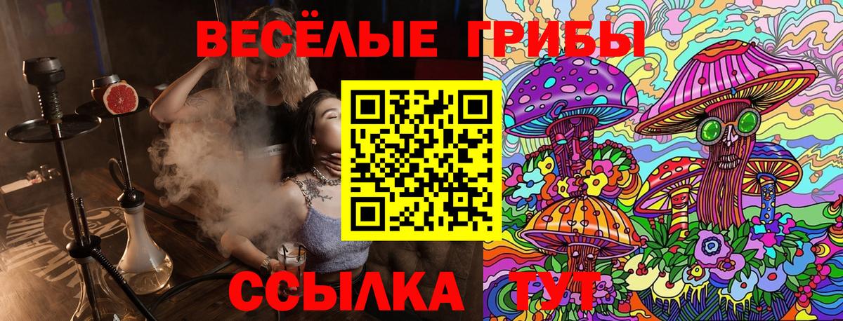 Псилоцибиновые грибы MAGIC MUSHROOMS Шелехов